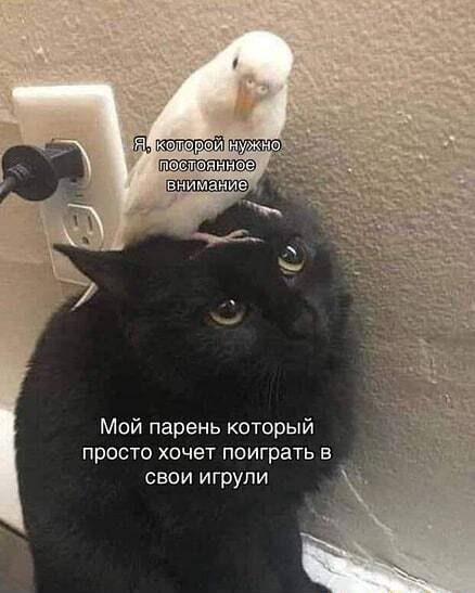 1 пинах Мой парень который просто хочет поиграть в свои игрули