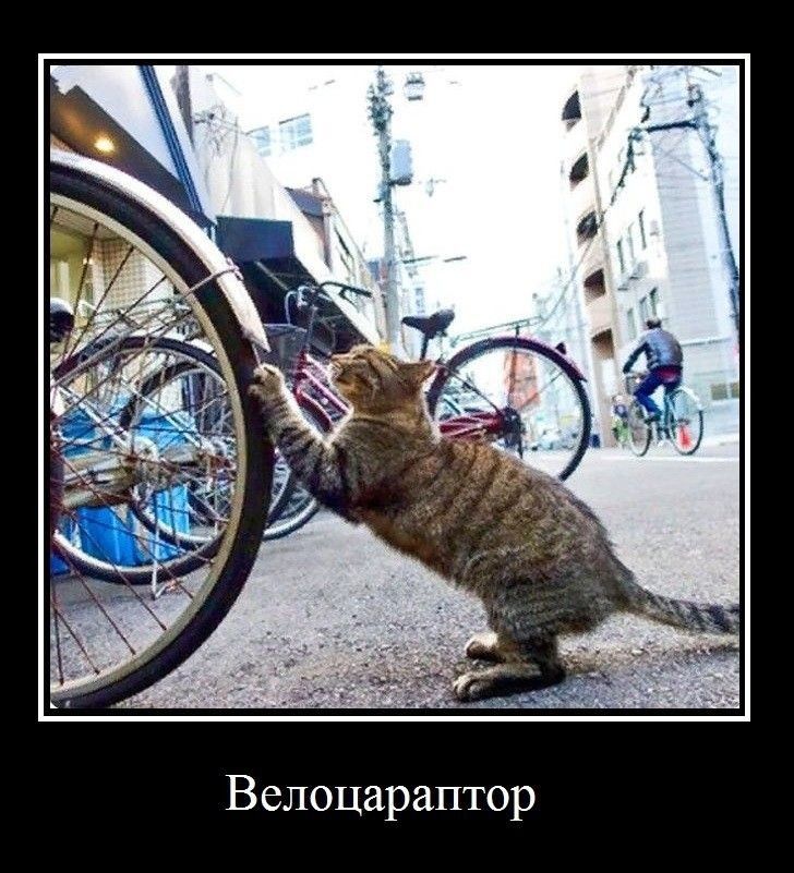 Велоцараптор