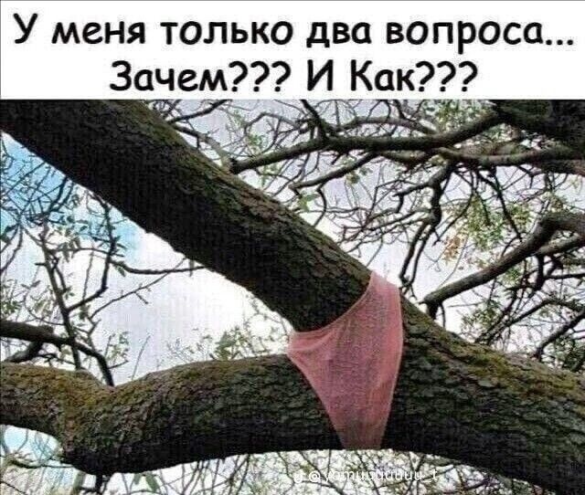 У меня только два вопроса Зачем И_Как_ я
