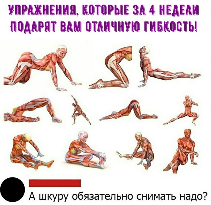 ПРАХИЕИ ПРН ЗА 4 НЕДЕЛИ ПОДАРИ И ЛИЧНУЮ ГИБКВБТЬ _ А шкуру обязательно снимать надо