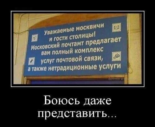 шит мини и почт ии помни питт услуг по поиі истр мимики Уд Боюсь даже представить