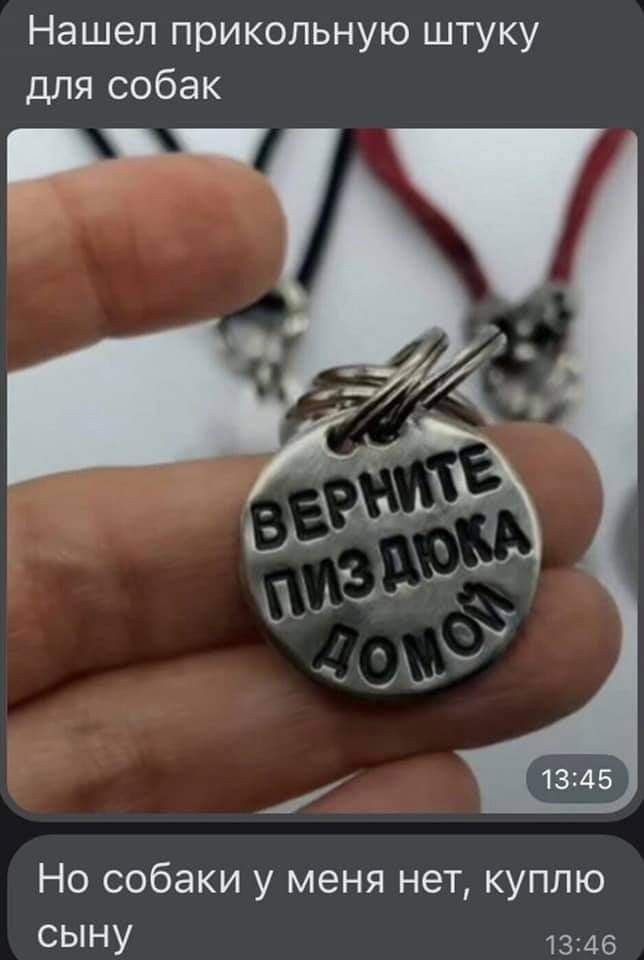 Нашел прикольную штуку для собак Но собаки у меня нет куплю сыну 1346