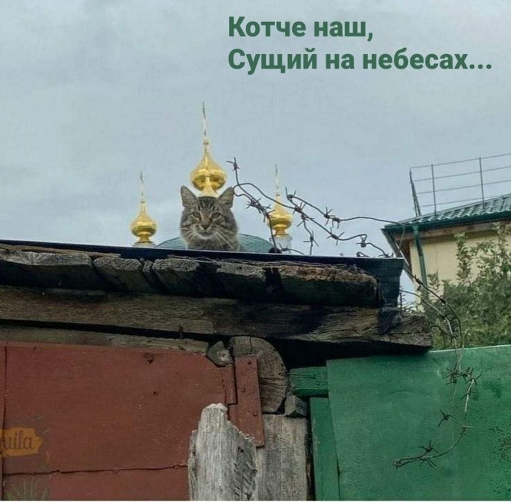 Котче наш Сущий на небесах