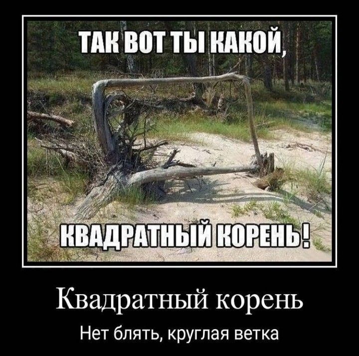тпкввт ты шой Квадратный корень Нет блять круглая ветка