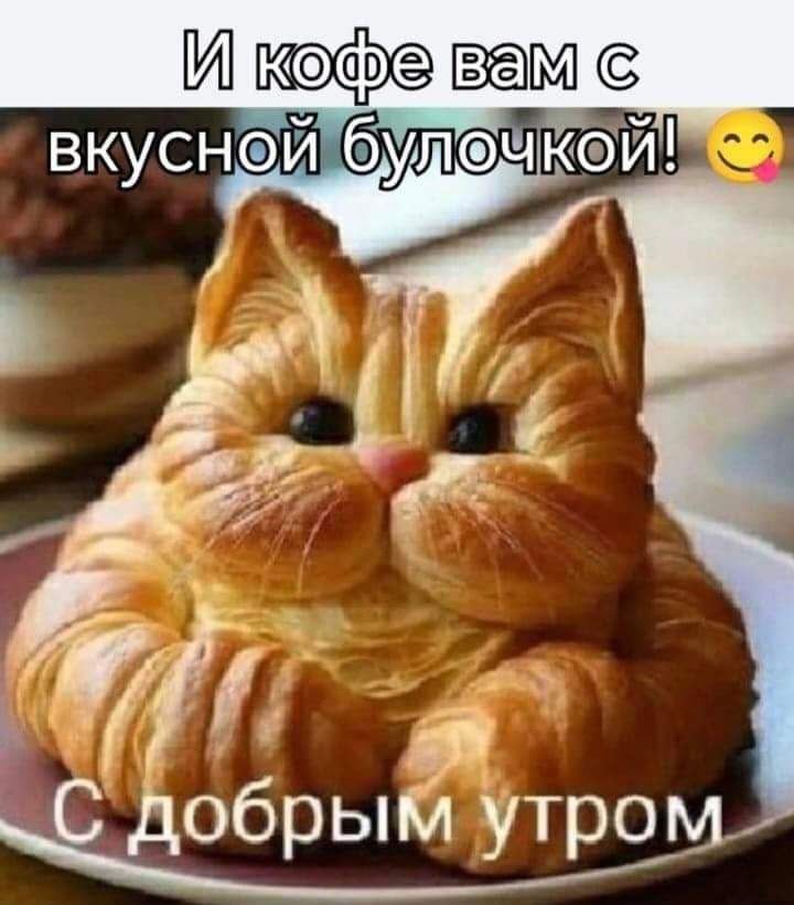 Мифовашсё _ рёбрЫйЭУТЪО