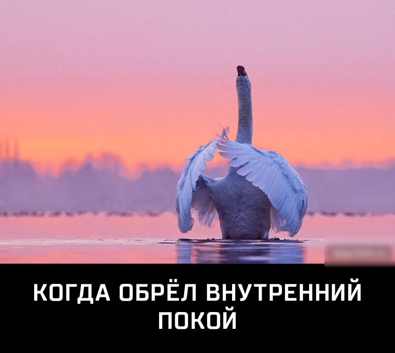 когдА ОБРЁЛ впдпутрвнний покои