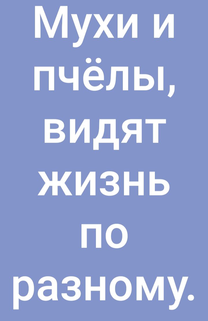 Мухи и пчёльь видят жизнь по разному