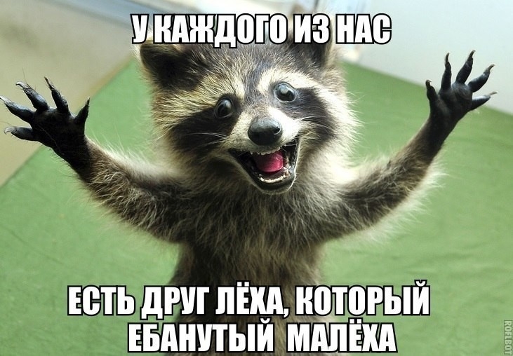 ЕСТЬ дРУТ ЛЕХА НПТЩЫИ ЕБАНУТЫЙ МШЕТШ
