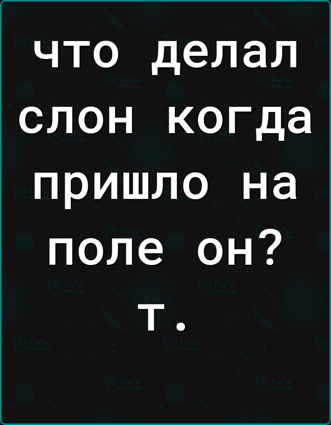 что делал слон когда пришло на поле он т