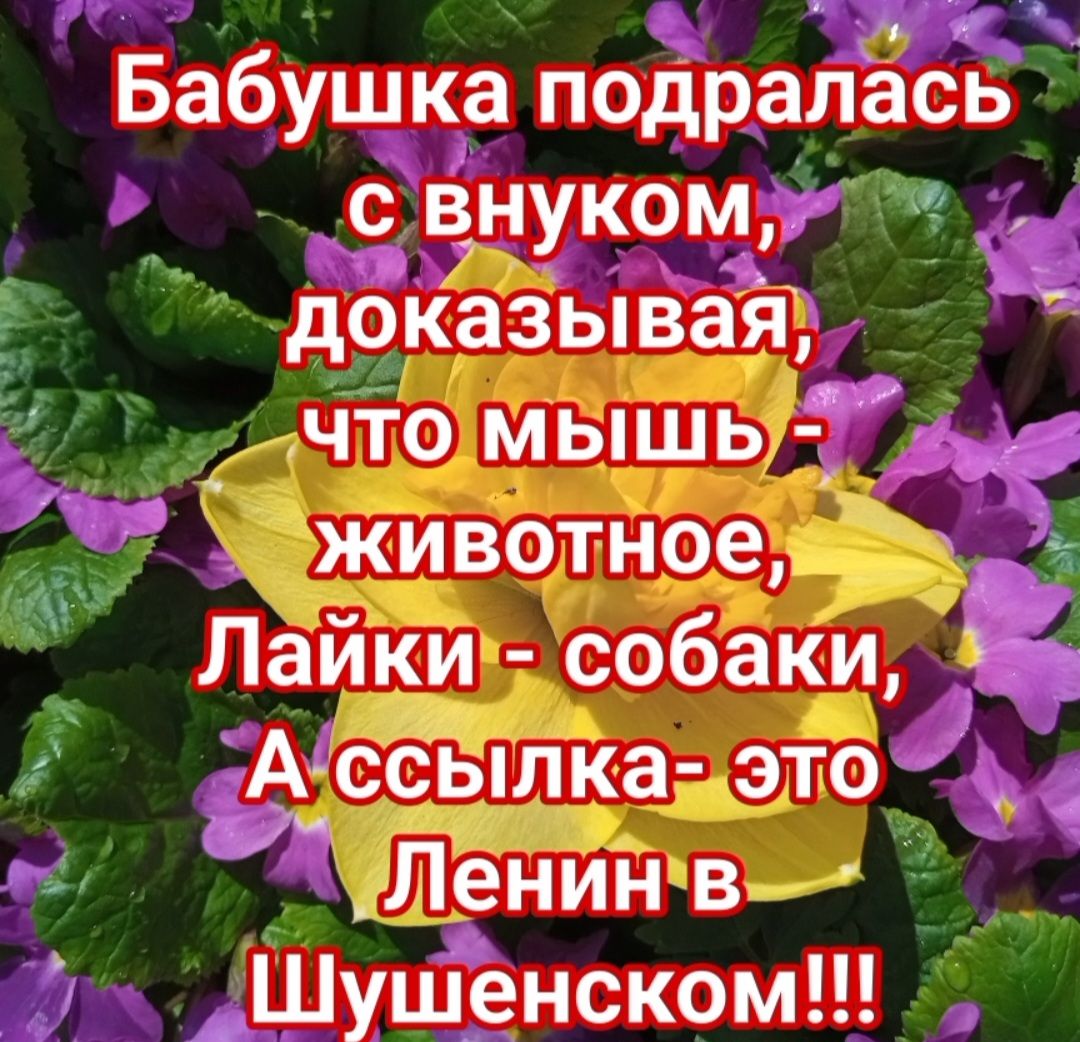 Бабуъёкг подра внуком _ доказьпвая ЧТО мышь ь животное Лайки собаки Ассътка этоы Ленинв ддушёнском