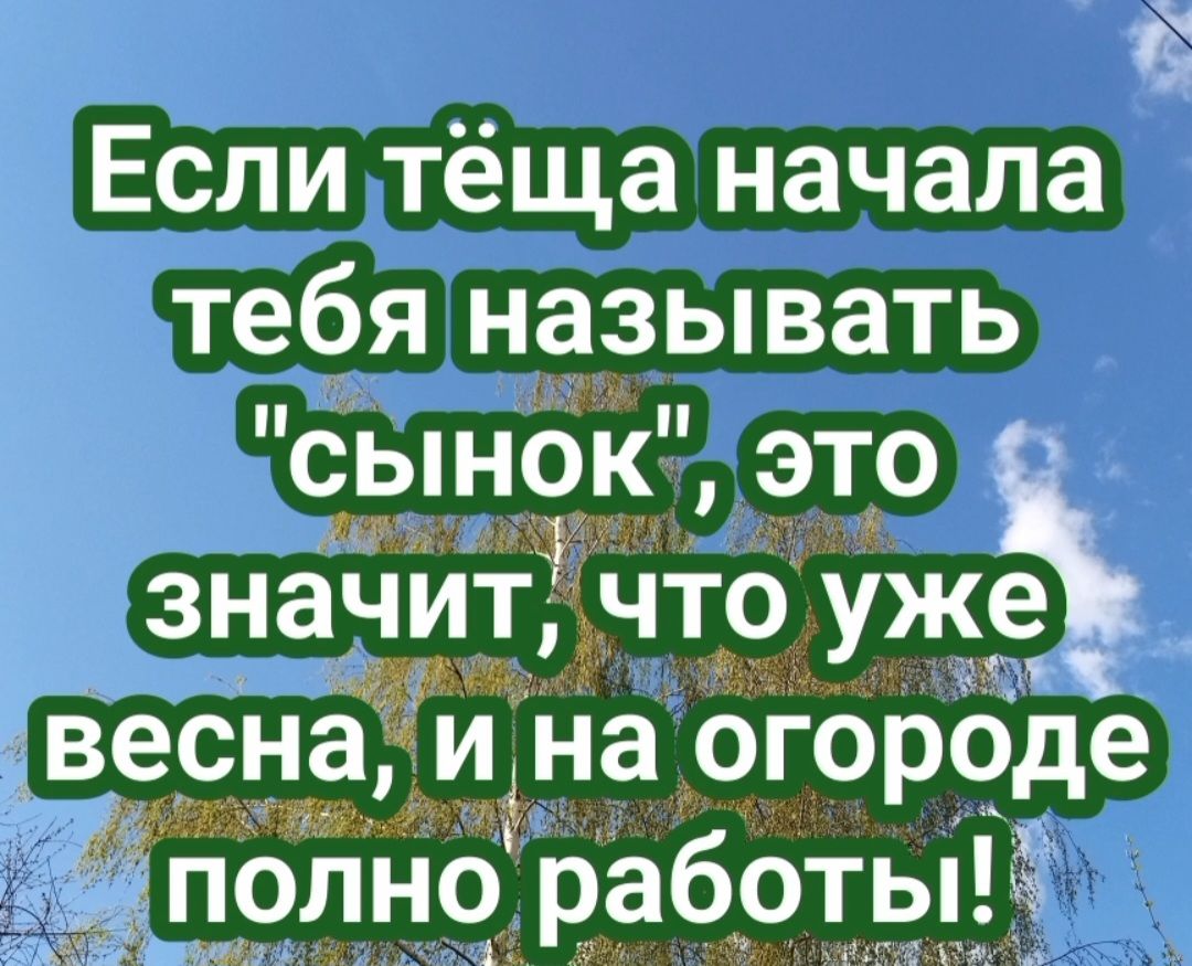 г Если тёща начала тебя называть сыноК это значитЁ что ужё я ЬЁесна И на огороде