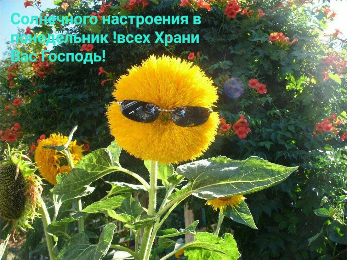 настроения в ник всех Храни подь _ мы _