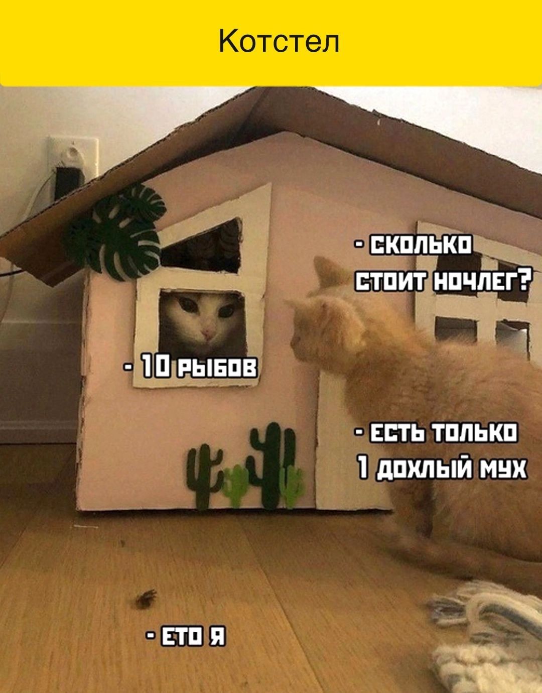 есть тппькп 1 дпкпый мик ППЯ _