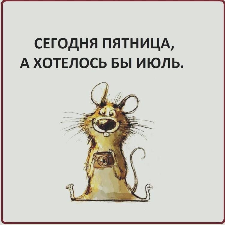 СЕГОДНЯ ПЯТНИЦА А ХОТЕЛОСЬ БЫ ИЮЛЬ
