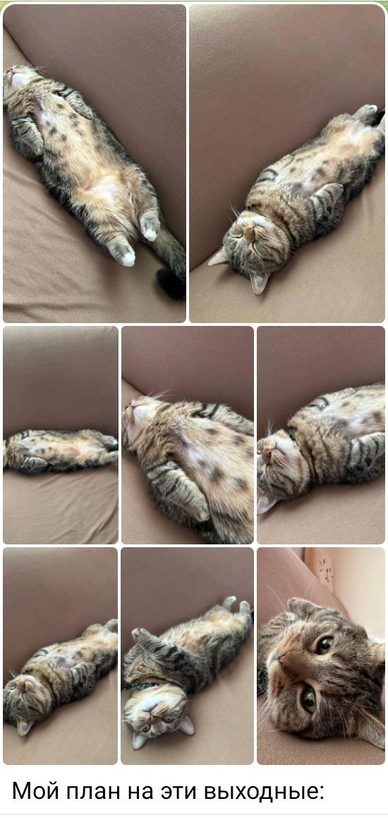 Мой план на эти выходные