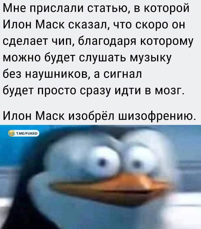 Мне прислали статью в которой Илон Маск сказал что скоро он сделает чип благодаря которому можно будет слушать музыку без наушников а сигнал будет просто сразу идти в мозг Ипон Маск изобрёл шизофрению