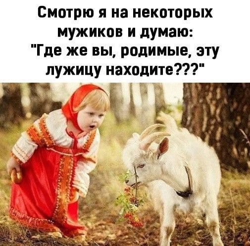 Смотрю я на некоторых мужиков и думаю Где же вы родимые эту пужицу находите юг _