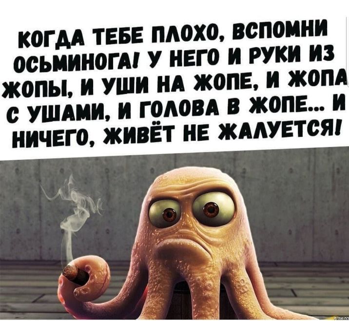 К0ГАА ТЕБЕ ПЛОХО ПСПОИИИ ОВЬИИШЭГМ У НЕГО И РУКИ ИЗ жопы И УШИ ИА ЖОПЕ И жом с УШАИИ И Г АОВА В ЖОПЕ И НИЧЕГО ЖИВЕТ ИЕ ЖААУЕТСЯП