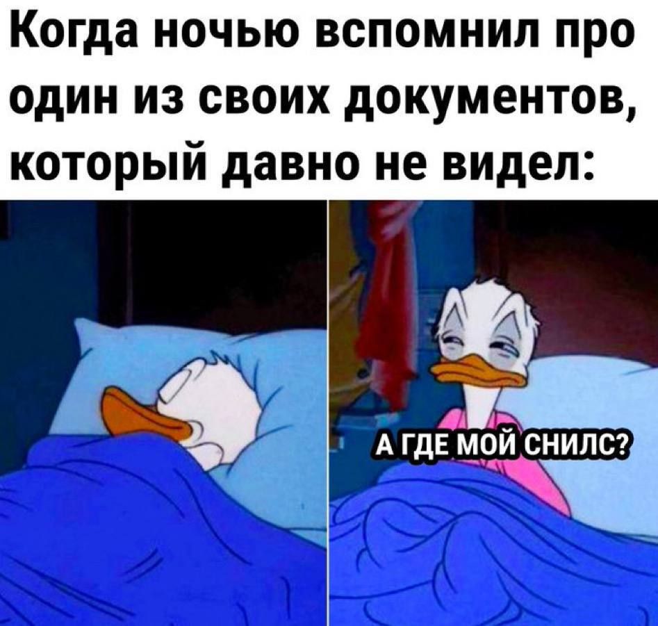 Когда НОЧЬЮ ВСПОМНИП ПРО ОДИН ИЗ СВОИХ дОКУМЗНТОВ КОТОРЫЙ давно не ВИДЕЛ А ГДЕ мойснилсгі