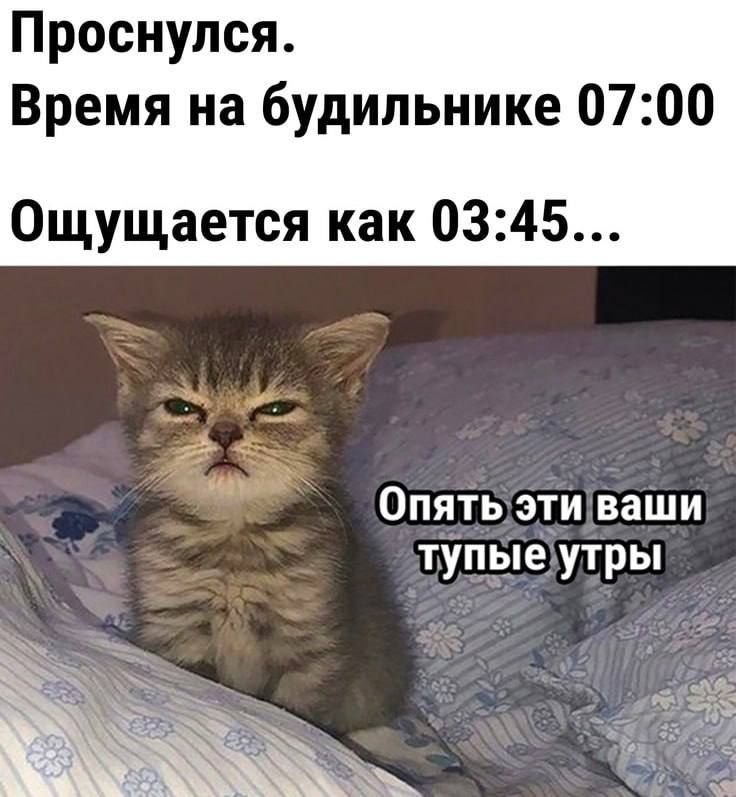 Проснулся Время на будильнике 0700 Ощущается как 0345 Опять эти ваши тупые утры