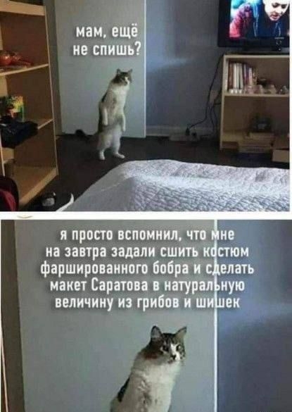 просп и птичий и фпрширшит ПУ и ять мики Евр кую величину _