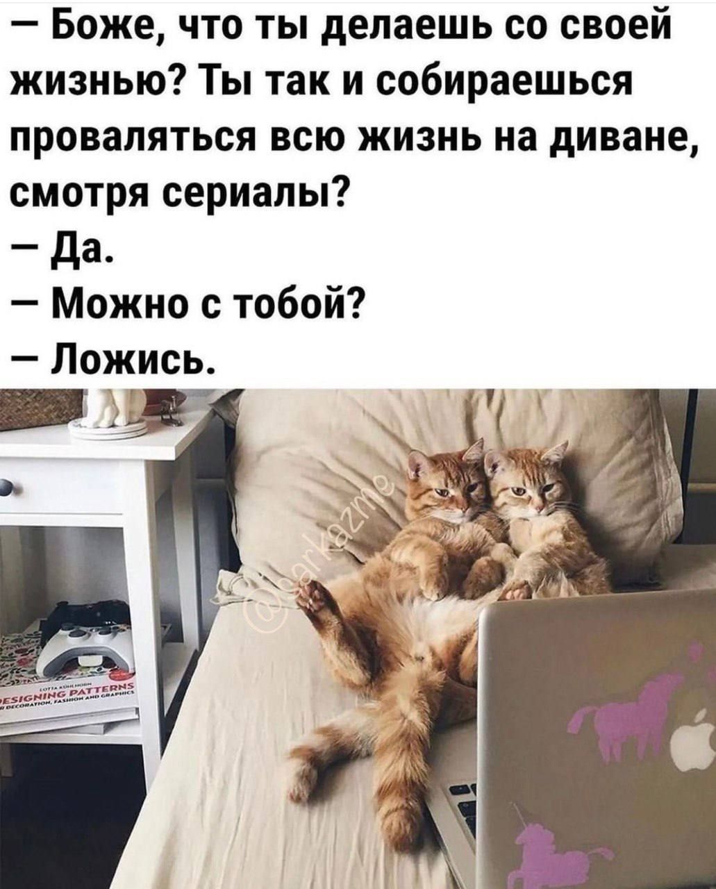 Боже что ты делаешь со своей жизнью Ты так и собираешься провалиться всю жизнь на диване смотря сериалы да Можно с тобой Ложись ту