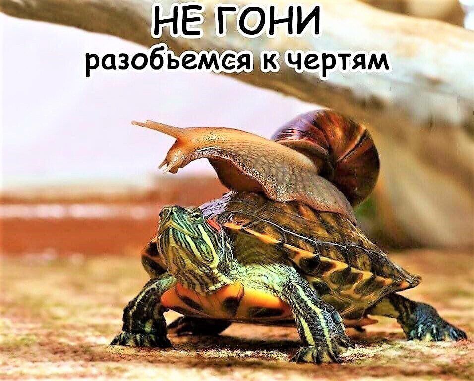 1Ёгони разобьеМеЪ к чертям