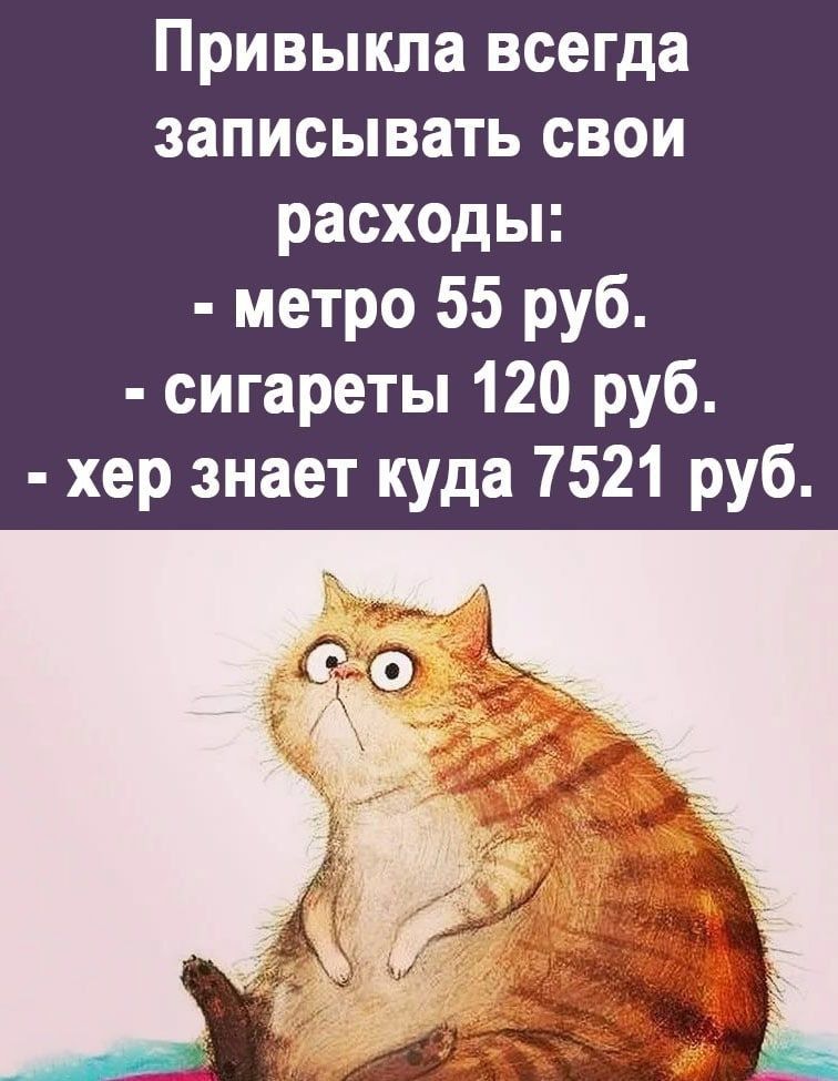 Привыкла всегда записывать свои расходы метро 55 руб сигареты 120 руб хер знает куда 7521 руб