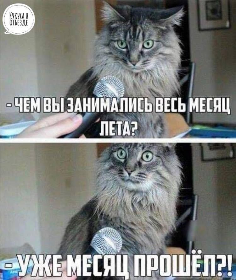 СААЖЕМЕСЯЦИПРОШЕЛ