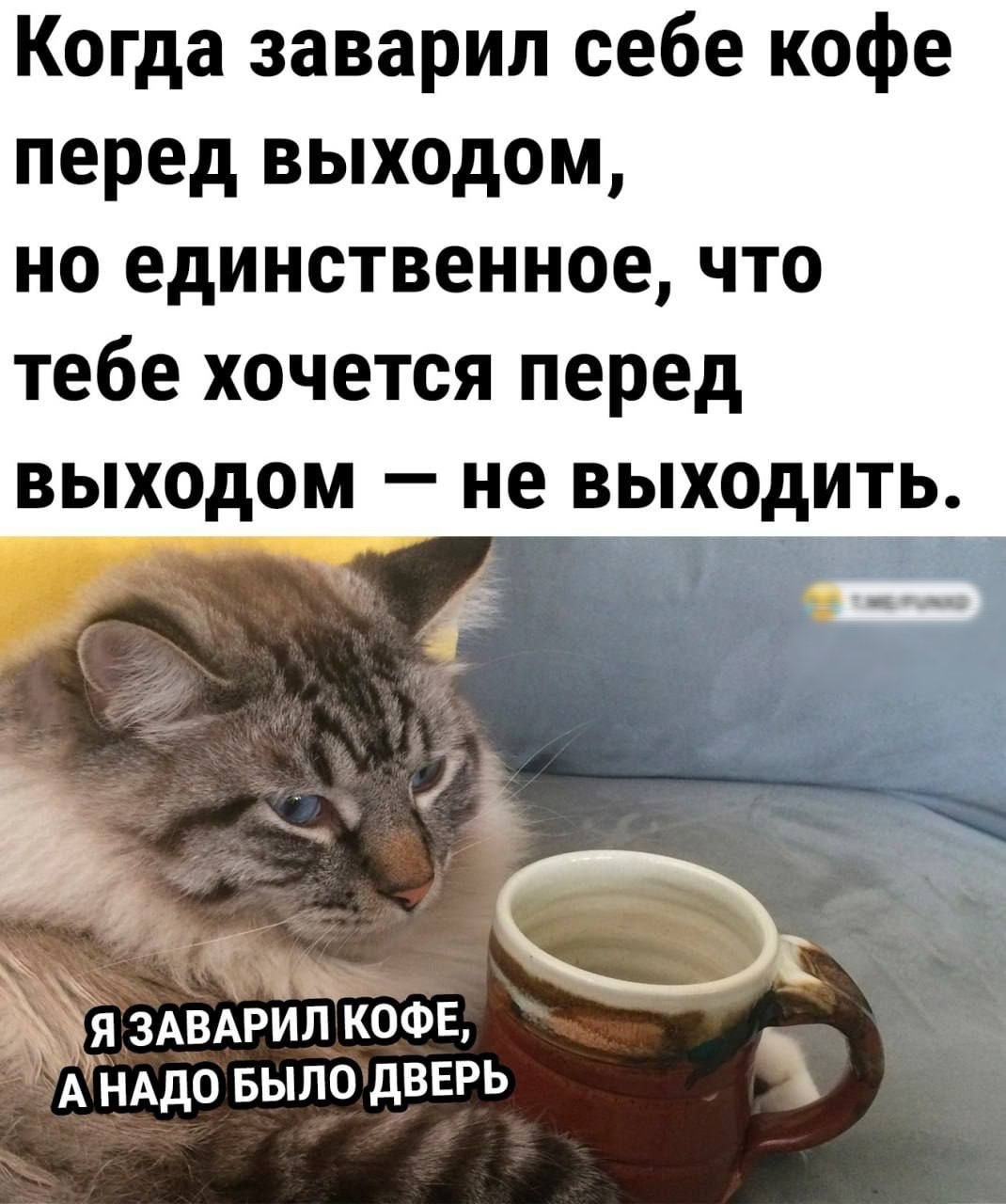 Когда заварил себе кофе перед выходом но единственное что тебе хочется перед ВЫХОДОМ _ не ВЫХОДИТЬ Ёя ЗАВАРИЁКОФЬ А НАДО БЫЛО дВЕРЬ