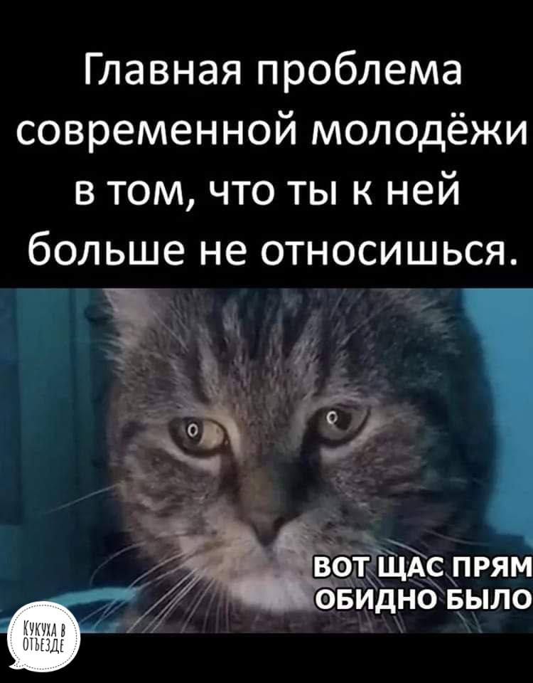 Главная проблема современной молодёжи в том что ты к ней больше не относишься