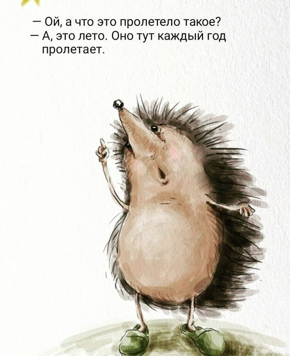Ой а что это пролетело такое А это лето Оно тут каждый год пролетает