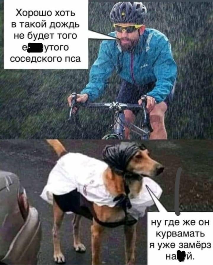 Хорошо хоть в такой дождь не будет того еутого соседского П Са ну где же он курвамать и уже замёрз и й