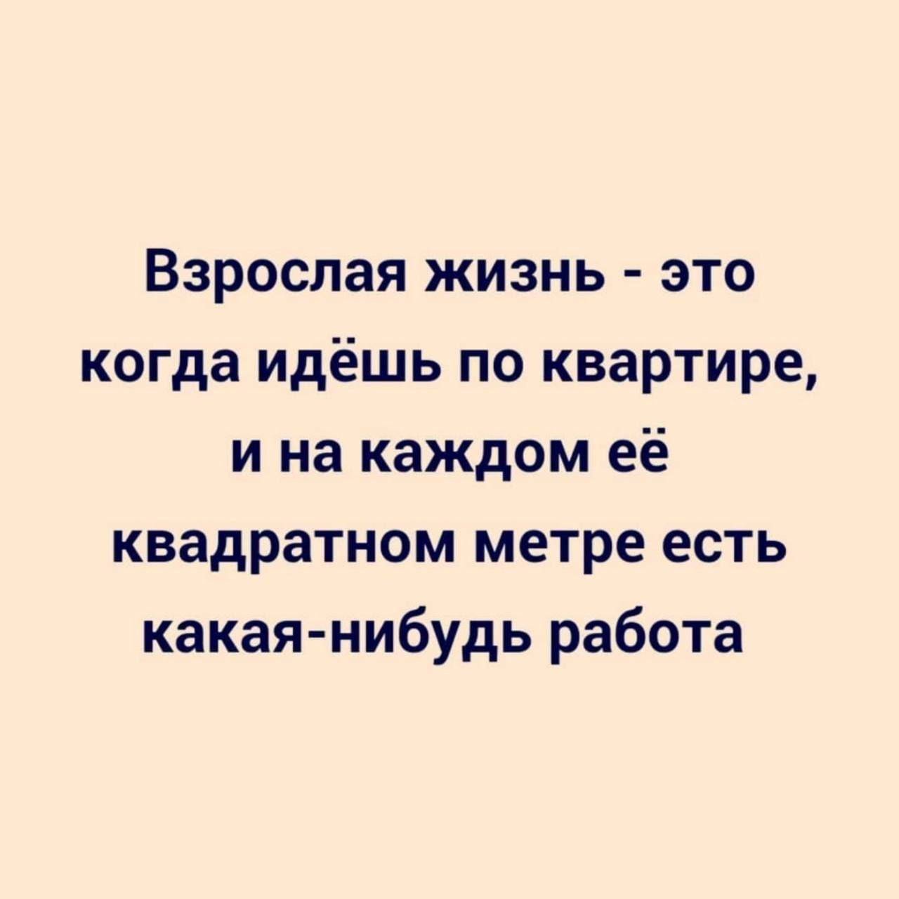 Взрослая жизнь это когда идёшь по квартире и на каждом её квадратном метре есть какая нибудь работа