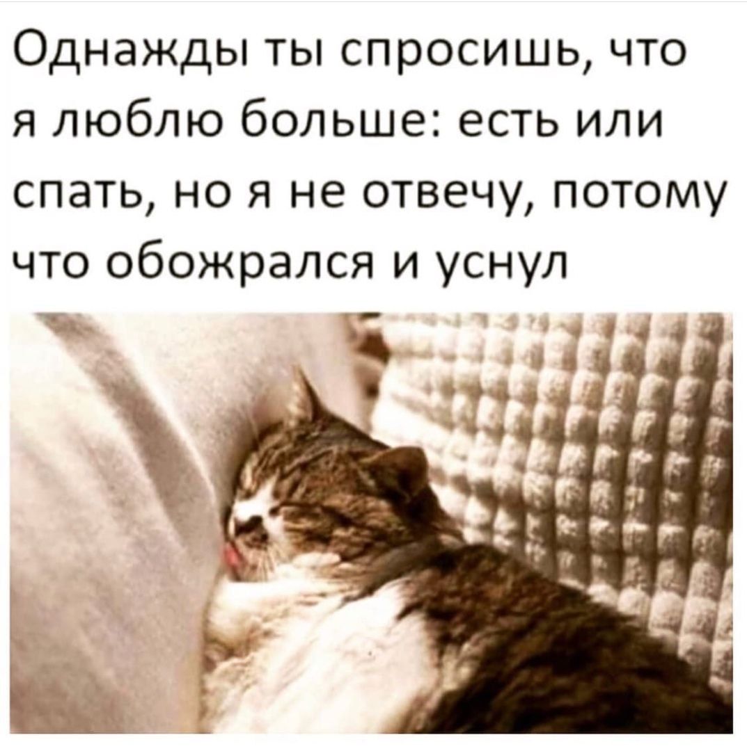 Однажды ты спросишь что я люблю больше есть или спать но я не отвечу потому что обожрался и уснул