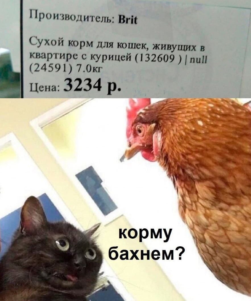 іро тноцитсль Вг Сухой корм для наших живущих в квартире с курицей зимнии 24591 70кг Цена 3234 р