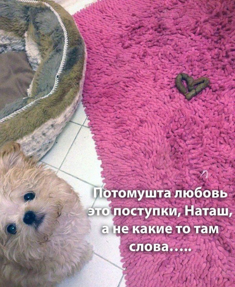 Потомушта любовь Наташ