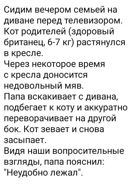 Сидим вечером семьей на диване перед телевизором Кот родителей здоровый британец 67 кг растянулся в кресле Через некоторое время с кресла доносится недовольный мяв Папа вскакивает с дивана подбегает к коту и аккуратно переворачивает на другой бок Кот зевает и снова засыпает Видя наши вопросительные взгляды папа пояснил Неудобно лежал