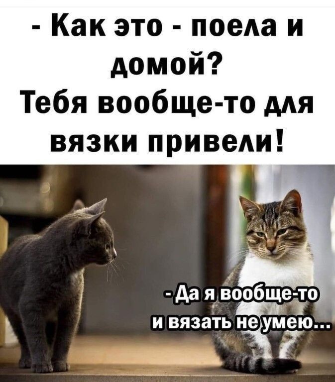 Как это меда и домой Тебя вообще то мя вязки привеАи