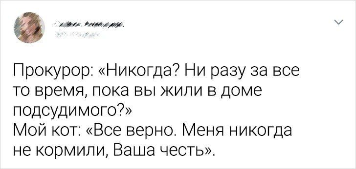 о Прокурор Никогда Ни разу за все то время пока вы жили в доме подсудимого Мой кот Все верно Меня никогда не кормили Ваша честь