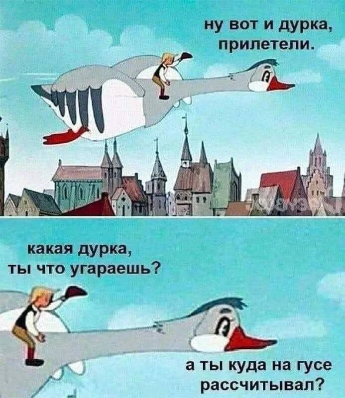 ну вот и дУРкз прилетели какая дУРка ты что угараешь Ь аты куда на гусе рассчитывал