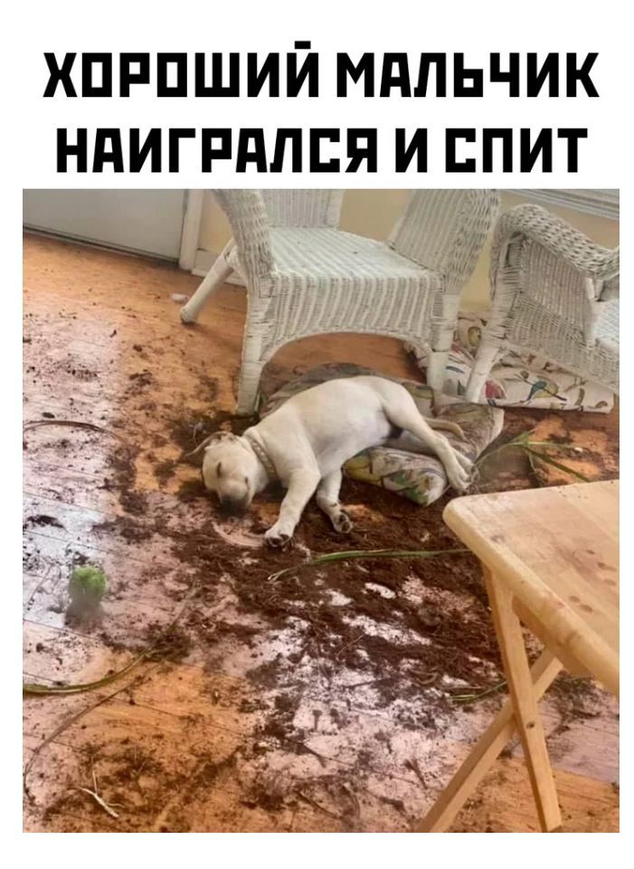 ШРПШИЙ МАЛЬЧИК НдИГРдЛБЯ И ЕПИТ