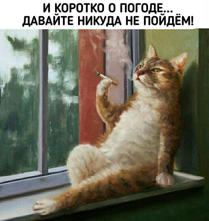 И КОРОТКО О ПОГОДЕ_ дАВАЙТЕ НИКУдА НЕ ПОЙДЁМ