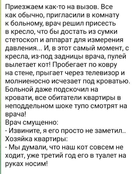 Приезжаем какето на вызов Все как обычно пригласили в комнату к больному врач решил присесть в кресло что бы достать из сумки стетоскоп и аппарат для измерения давления И в этот самый момент с кресла изАпод задницы врача пулей вылетает кот Пробегает по ковру на стене прыгает через телевизор и молниеносно исчезает под кроватью Больной даже подскочил на кровати все обитатели квартиры в неподдельном 