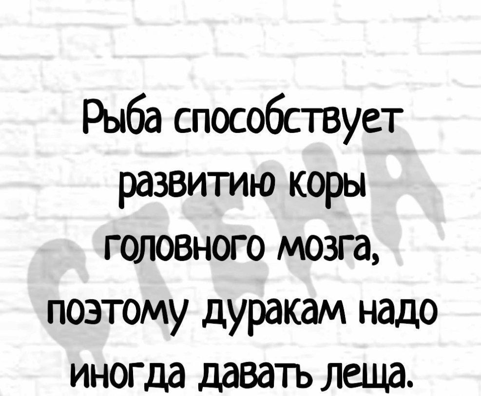 Рыба способствует развитию коры головного мозга позтому дуракам надо ИНОГДЭ ддВдіЪ леща