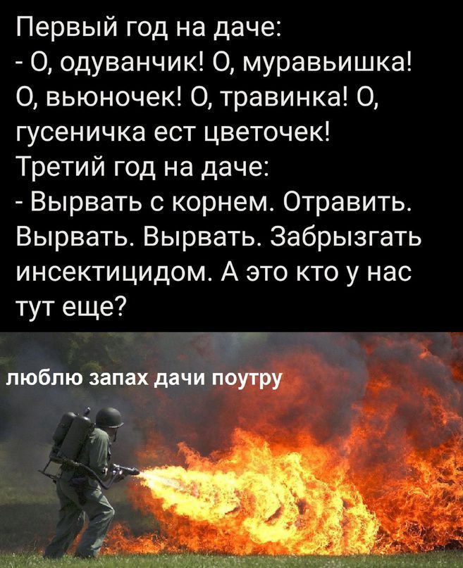 Первый год на даче О одуванчик О муравьишка О вьюночек О травинка О гусеничка ест цветочек Третий год на даче Вырвать корнем Отравить Вырвать Вырвать Забрызгать инсектицидом А это кто у нас тут еще ГГ люблю запах дачи поутру