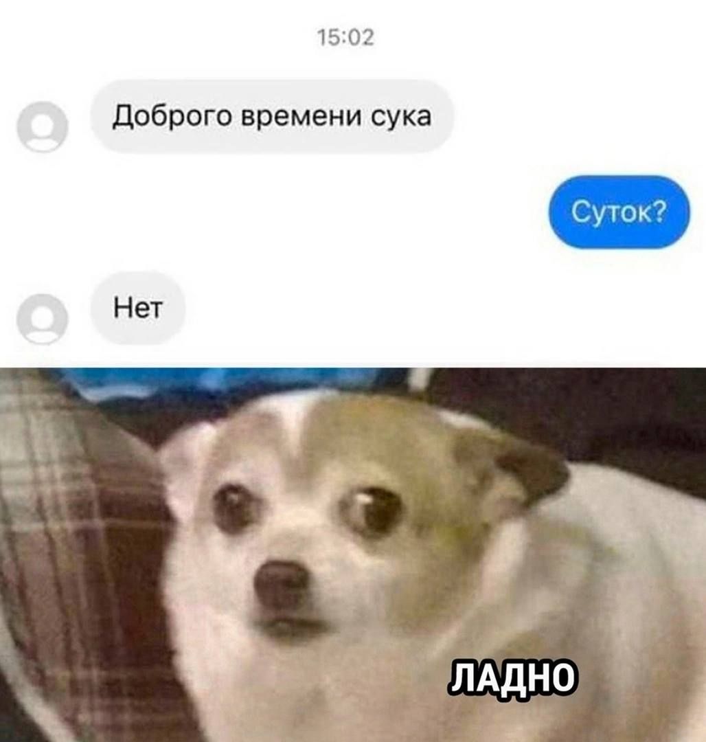 доброго времени сука Нгт