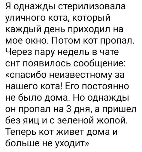 Я однажды стерилизовала уличного кота который каждый день приходил на мое окно Потом кот пропал Через пару недель в чате снт появилось сообщение спасибо неизвестному за нашего кота Его постоянно не было дома Но однажды он пропал на 3 дня а пришел без яиц и с зеленой жопой Теперь кот живет дома и больше не уходит