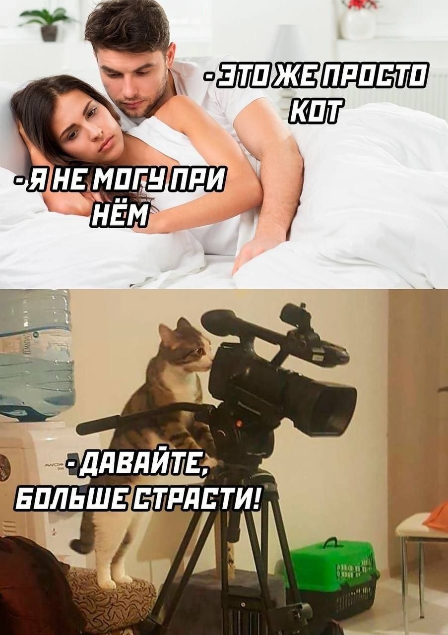 пдистп