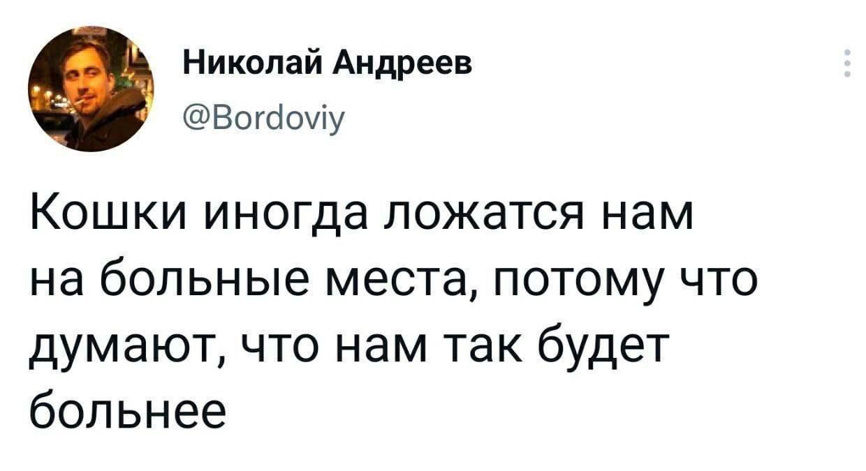 Николай Андреев Вопіоиу Кошки иногда ложатся нам на больные места потому что думают что нам так будет больнее